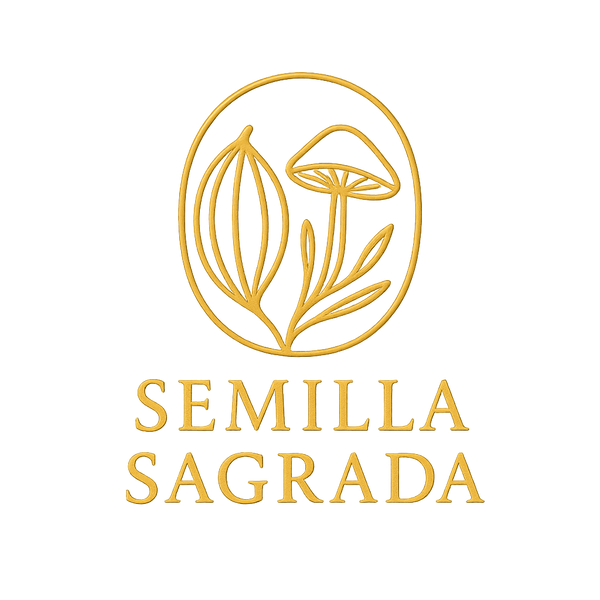 Cacao en Guatemala